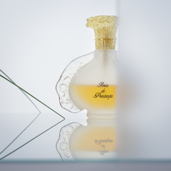 Kreative Still Life Fotografie von Flakons